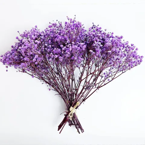 Mini Baby's Breath Dried Flower Bouquet Preserved Flowers Small Floral Bunch For Home Decor Photography Props