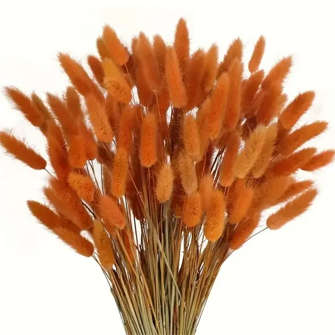 Natural Dried Bunny Tails Flowers Bouquet Home Decor Photography Props Colorful Reeds Grass Floral Arrangement