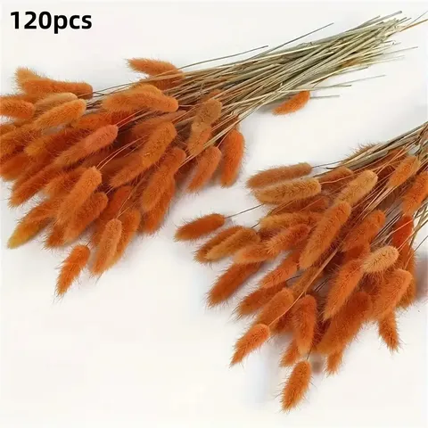 Natural Dried Bunny Tails Flowers Bouquet Home Decor Photography Props Colorful Reeds Grass Floral Arrangement