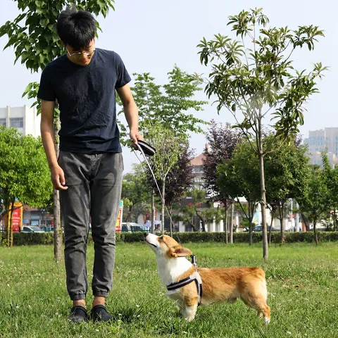 Breathable Mesh Pet Dog Harness And Leash Set Anti Escape Vest Adjustable Reflective Walking Supplies For Small Dogs