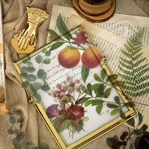 PET Plant Specimen Journal Sticker Pak Vintage Botanisch Decoratief Scrapbooking Materiaal DIY Ambachten Voor Journaling