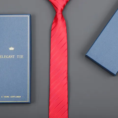 Men Women Business Formal Necktie Zipper Zip On Neck Tie With Long Gift Box Wedding Party Striped Solid Neck Wear