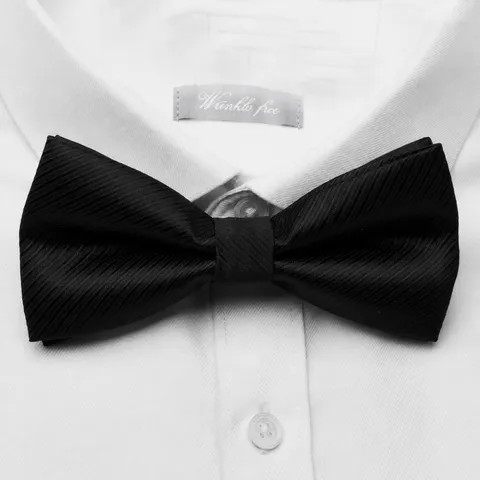 Klassieke Heren Zakelijk Huwelijk Strikje Polyesterzijde Effen Kleur Streep Paisley Vlinderdas Formele Pak Accessoires