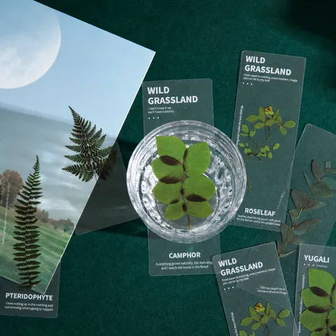 PET Translucent Bookmark Natural Plant Series Literary Ins Style Student Reading Book Clip Decorative Stationery