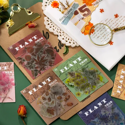 Pack d'Autocollants PET Floraux Vintage Spécimen de Plante Scrapbook Autocollants Décoratifs DIY Papeterie de Journal