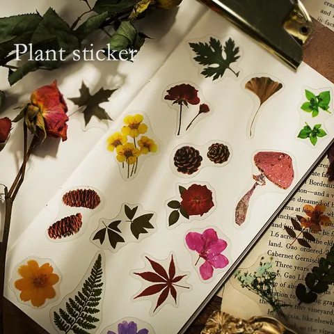 Pack d'Autocollants PET Floraux Vintage Spécimen de Plante Scrapbook Autocollants Décoratifs DIY Papeterie de Journal