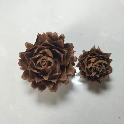 Natuurlijke Dennenappels Kerstboom Ornamenten Natuurlijk Hout Rustieke Dennenappels Voor Vakantie Woondecoratie Ambacht DIY