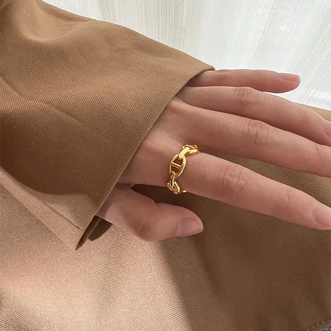 Bague Nez de Porc en Acier Titane Électroplaqué Or Bague Géométrique Maillons de Chaîne Ancre pour Hommes Femmes Bijoux Mode