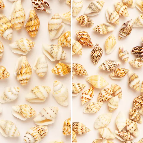 Natural Sea Shell Spiral Beads Loose Spacer Seashell Charms For DIY Handmade Bracelet Necklace Earring Jewelry Making Accessories Craft Supplies