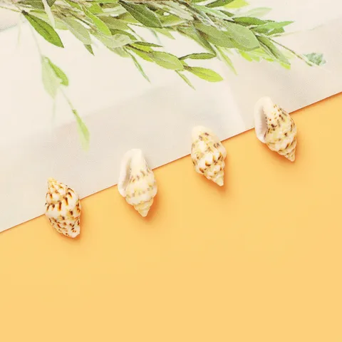 Natural Sea Shell Spiral Beads Loose Spacer Seashell Charms For DIY Handmade Bracelet Necklace Earring Jewelry Making Accessories Craft Supplies