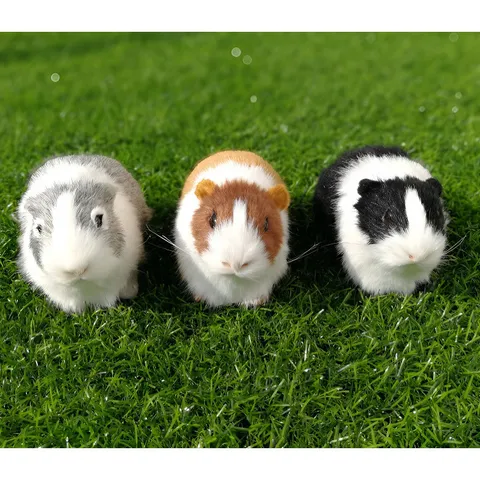 Prosomoiosis Figouda Ivniokou Choiridioy Techniti Gouna Zoodo Model Realistiko Hamster Diakosmisi Aftokinitou Stolidi