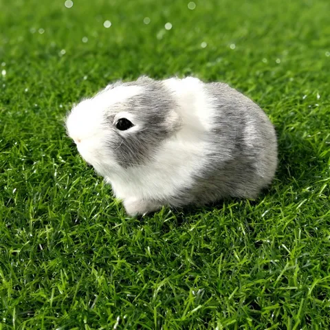 Prosomoiosis Figouda Ivniokou Choiridioy Techniti Gouna Zoodo Model Realistiko Hamster Diakosmisi Aftokinitou Stolidi
