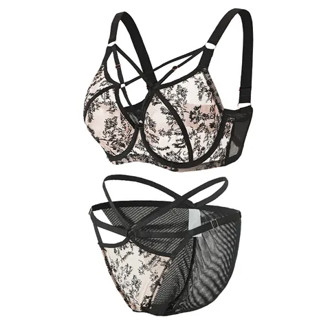 Women Plus Size Lace Mesh Lingerie Set Full Cup Push Up Bra And Bottom Set Nylon Embroidered Minimizer Underwear Set For Large Bust