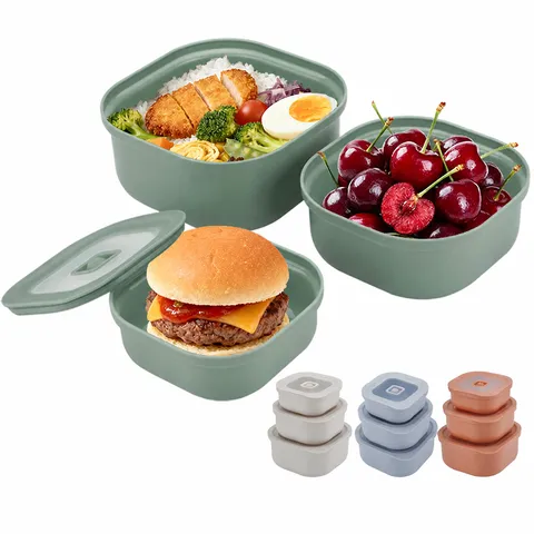 Φορητό Δοχείο Apothikefsis Trofimon PP Set 3 Temaxion Aerostego Lunch Box Me Valkida Exaerismou Organotis Psygioy
