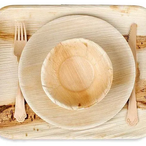 Piatto Quadrato Usa e Getta Biodegradabile Ecologico in Foglia di Palma Stoviglie Naturali in Foglia d'Albero per Campeggio all'Aperto Picnic