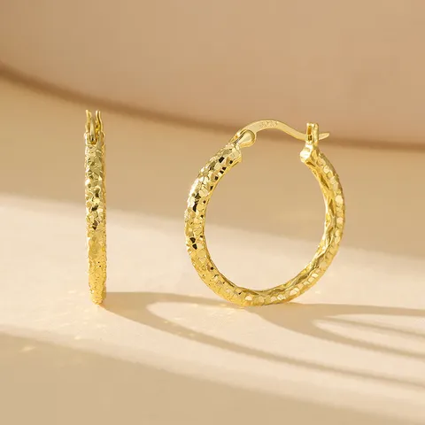Boucles d'Oreilles Créoles Géométriques Minimalistes Glace Pilée Avec Tige en Argent Sterling 925 Boucles d'Oreilles Rondes de Luxe pour Femmes