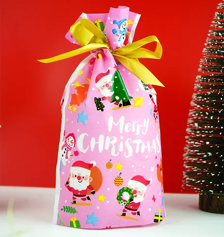 Sacs Cadeaux de Noël en Plastique Cordon Bonbons Noix Emballage Mignon Père Noël Impression Fête Sachets