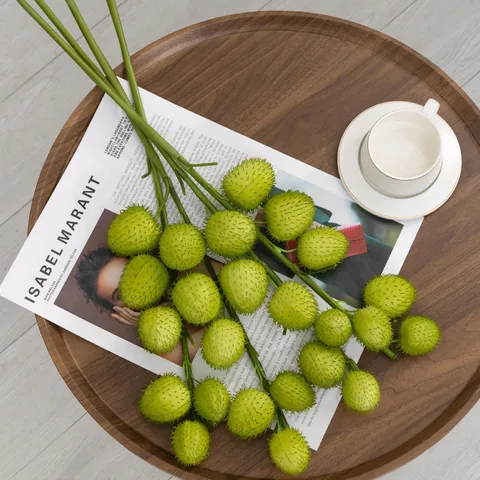 Kunstmatige Tangmian Vrucht Groene Plant Enkele Nep Bloem Puffer Ballon Vrucht Decoratieve Plantenmuur Huisdecoratie