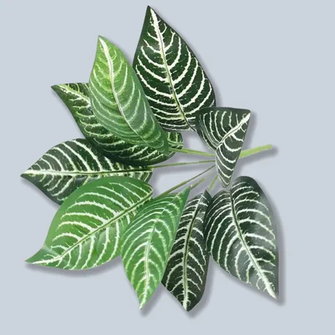 Τεχνητά Φύλλα Πράσινου Φυτού Monstera Φύλλου Taro Ψεύτικο Κλαδίο Φύλλωσης Για Εσωτερική Διακόσμηση Σπιτιού Floral Διάταξη Wholesale