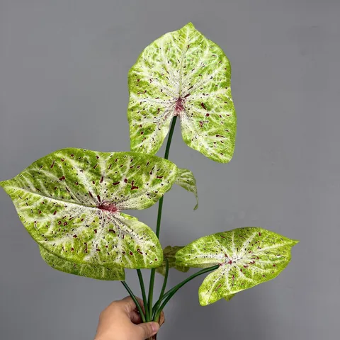Τεχνητά Φύλλα Caladium Φυτά Πρασίνου Απαλή Αφή Φύλλωμα Τοπίου Τροπικού Δάσους Για Διακόσμηση Σπιτιού και Κήπου