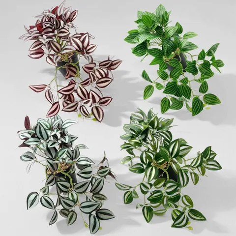 Artificial Green Plant Rattan Watermelon Pattern Small Hanging Wall Plant Wall Material Indoor Outdoor Ornaments