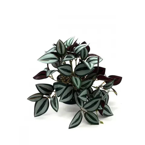 Artificial Green Plant Rattan Watermelon Pattern Small Hanging Wall Plant Wall Material Indoor Outdoor Ornaments