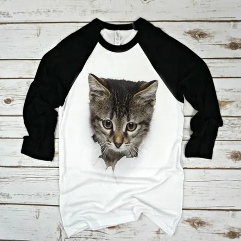 Herren 3D Katzen Print Raglan Langarm T-Shirt Acryl Rundhals Kontrastfarbe Casual Sport Top Pullover