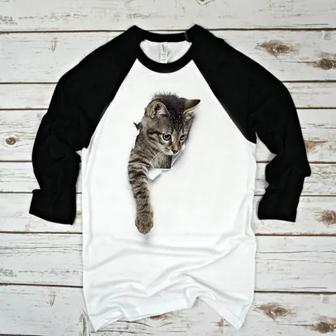 Herren 3D Katzen Print Raglan Langarm T-Shirt Acryl Rundhals Kontrastfarbe Casual Sport Top Pullover