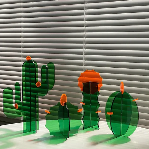 Ins Style Acrylic Cactus Decorative Ornament Creative Desktop Gift Cute Plant Desktop Photography Props Home Decor