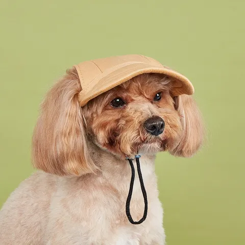Cute Adjustable Pet Sun Hat Breathable Dog Baseball Cap With Ear Holes Outdoor Sun Protection Hat For Small Dogs