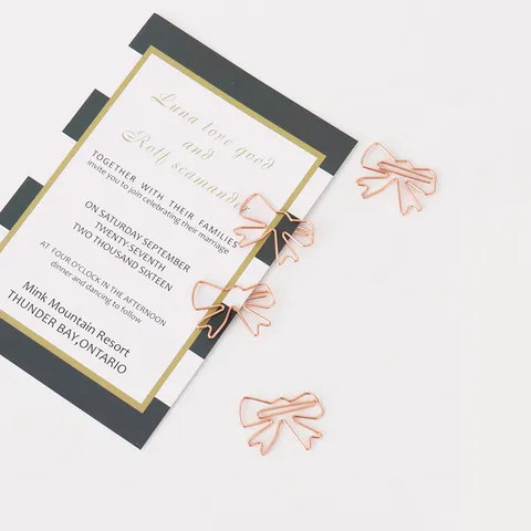 Rose Gold Metal Shaped Paper Clips Cute Electroplated Bookmark Geometric Heart Pineapple Unicorn Stationery Clips Box