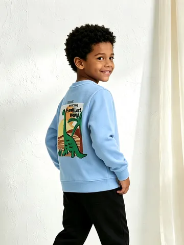 Boys Casual Cotton Sweatshirt Dinosaur Graphic Print Round Neck Long Sleeve Top For Kids Autumn Sportswear Clothing