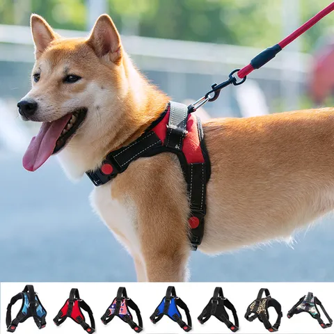 Set Pettorina e Guinzaglio per Cani Grandi Tipo Gilet Riflettente Antistrappo Fascia Pettorale Regolabile Rete Forniture per Passeggiate Cuccioli