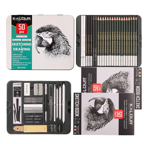 Collezione di Matite per Schizzi e Disegno Professionali Kalour Articoli d'Arte con Custodia in Metallo per Artisti e Principianti