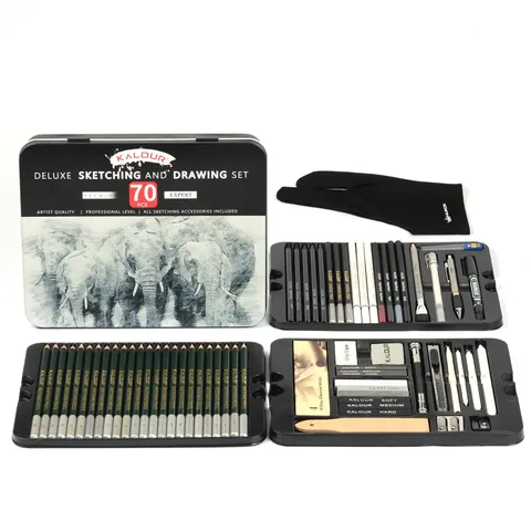 Set di Matite per Schizzi e Disegno Professionali Forniture d'Arte Con Scatola di Metallo per Artista Disegno Pittura