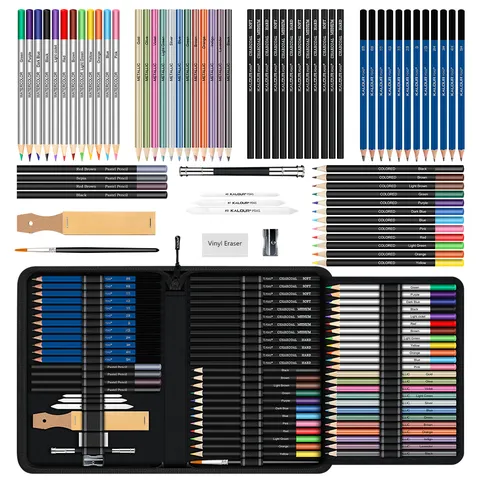 Kit di Matite Professionali per Disegno e Schizzi Matite Colorate e a Carbone Con Custodia per Studenti d'Arte