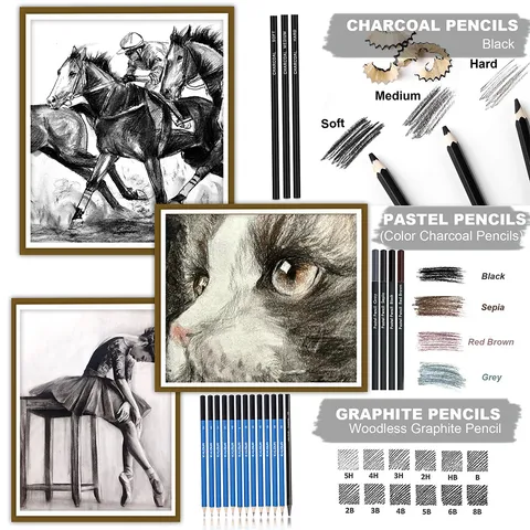 Kit di Matite Professionali per Disegno e Schizzi Matite Colorate e a Carbone Con Custodia per Studenti d'Arte