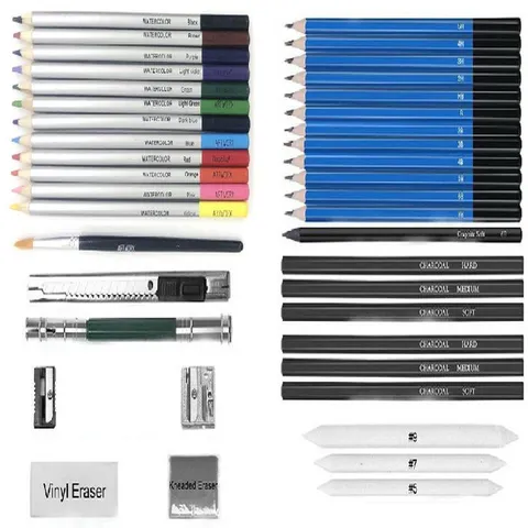 Kit professionale di matite per schizzi e disegno con matite a carbone, matite acquerellabili e astuccio nero portatile con cerniera