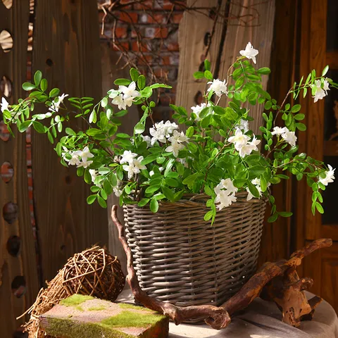 Artificial Silk Sophora Japonica Single Branch Fake Flowers For Home Decor Floral Arrangement Table Centerpiece