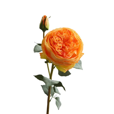 Double Head Austin Rose Artificial Flower Nordic Romantic Home Decor Living Room Bedroom Ornament Silk Floral
