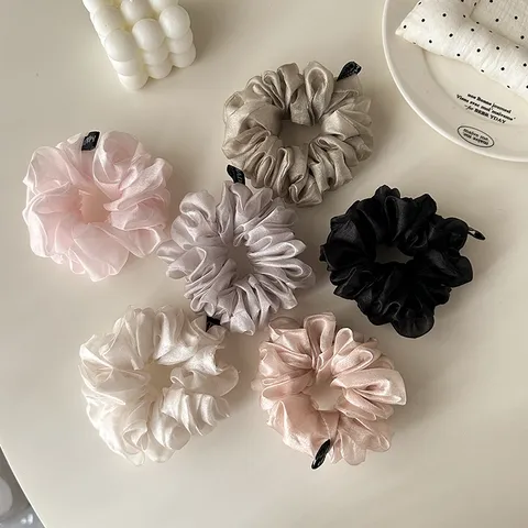 Chouchou en Organza Nacré Attache Cheveux Plissée Accessoire Cheveux Minimaliste Pour Femmes Style Quotidien Décoration