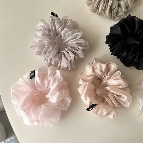 Chouchou en Organza Nacré Attache Cheveux Plissée Accessoire Cheveux Minimaliste Pour Femmes Style Quotidien Décoration