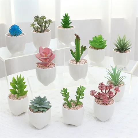 Artificial Succulent Plants Mini Potted Fake Succulent with White Ceramic Pot for Home Office Desktop Greenery Decor