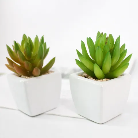 Mini Ceramic Pot Artificial Succulent Plants Potted Bonsai Creative DIY Fake Greenery Plants For Home Office Desk Decor