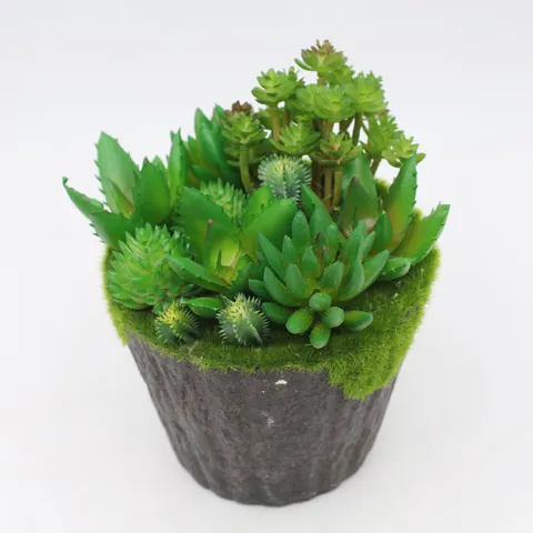 Piante Succulente in Plastica Artificiale Serie Verde Finti Teste di Fiori Succulenti Parete di Piante DIY Accessori per Arredamento