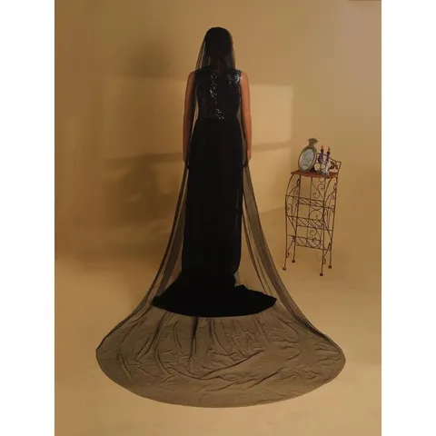 Halloween Long Single Layer Sheer US Net Veil Photography Cathedral Train Veil Cut Edge Shawl