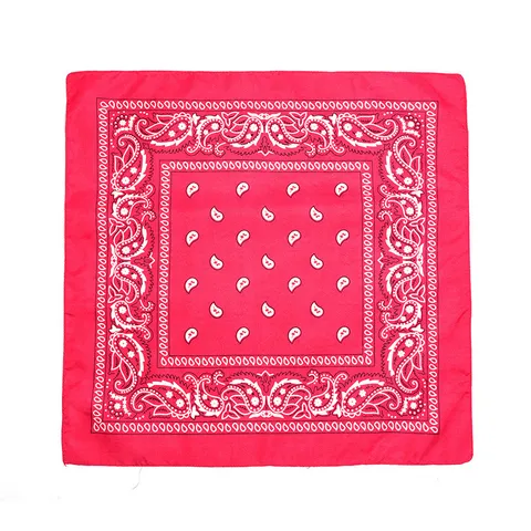 Paisley Bandana Outdoor Sport Kopftuch Quadratisch Schal Hip Hop Radfahren Kopfbedeckung Unisex Polyester Modisch