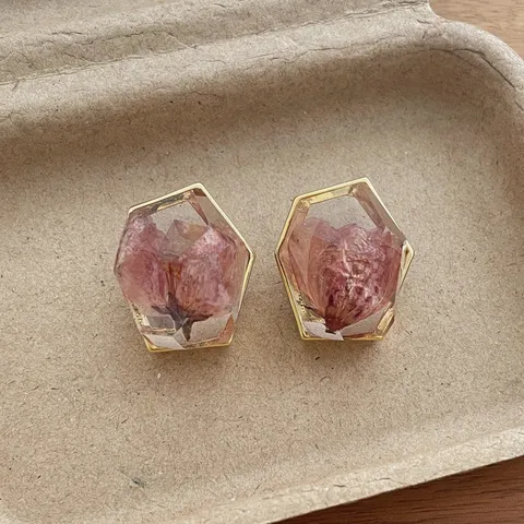 Fashion Resin Dried Flower Geometric Transparent Stud Earrings Unique Light Luxury Trendy Ear Jewelry For Women