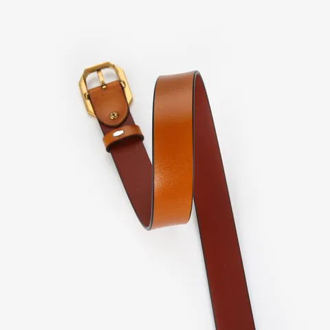 Dames Echt Lederen Riem Mode Casual Metalen Gesp Tailleband Voor Jeans Jas Jurk Dagelijkse Accessoires