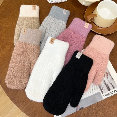 Women Winter Warm Gloves Double Layer Thickened Granular Fleece Mittens Solid Color Minimalist Cold Weather Thermal Gear